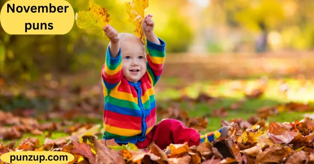 Funny & Silly November Puns