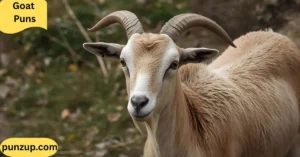 Goat Puns