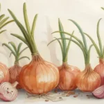 Onion Puns