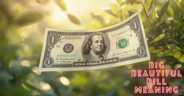 big beautiful bill meaning